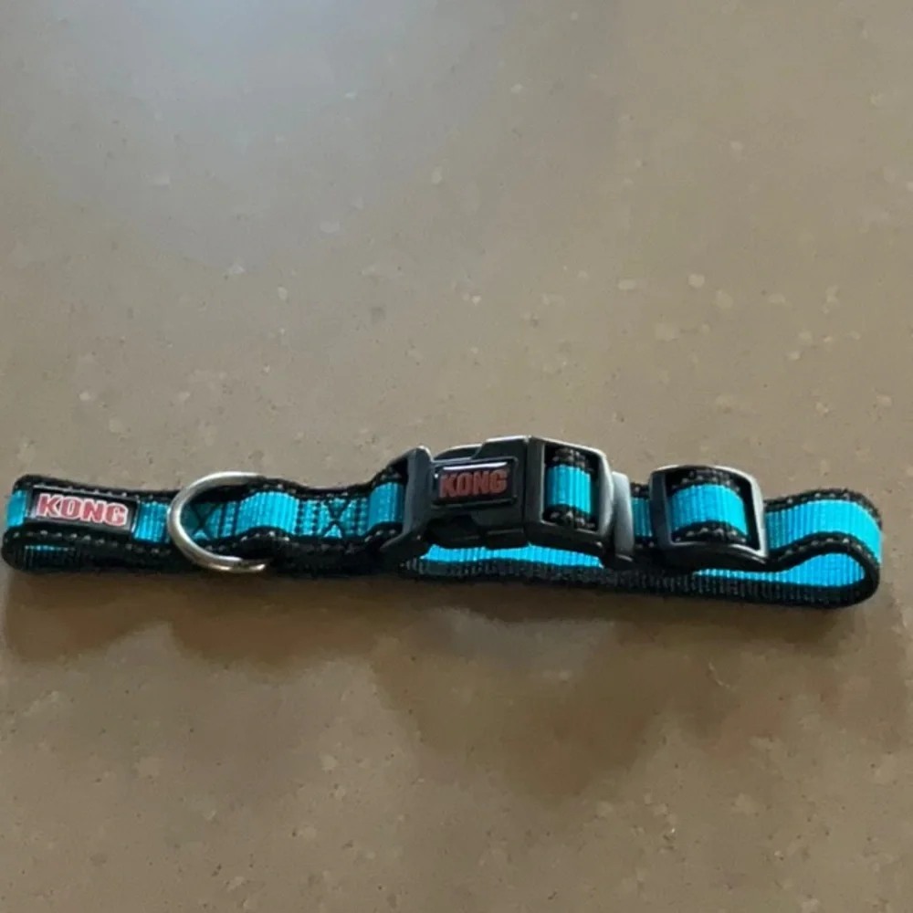 Kong medium dog collar